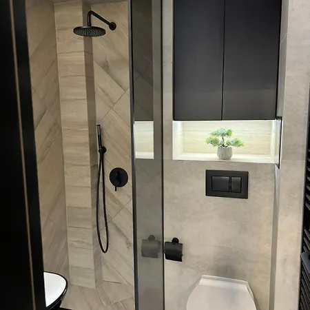 Luxury Flat In Plevna